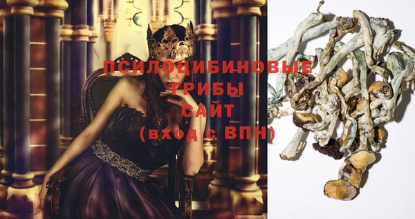тгк Баксан