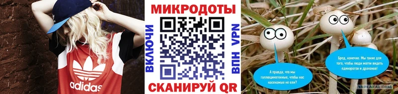 как найти   Неман  Галлюциногенные грибы мицелий 